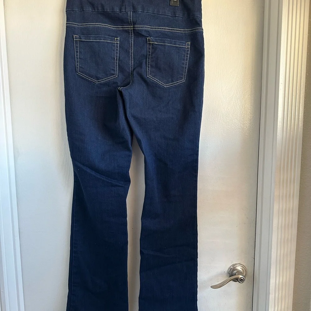 Chadwicks Classic Blue Pull-up Jeans Timeless  Size 10T - Picture 4 of 6